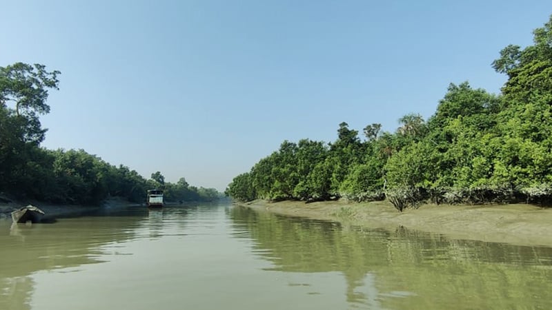 তিন মাস পর আজ খুলছে সুন্দরবনের দুয়ার